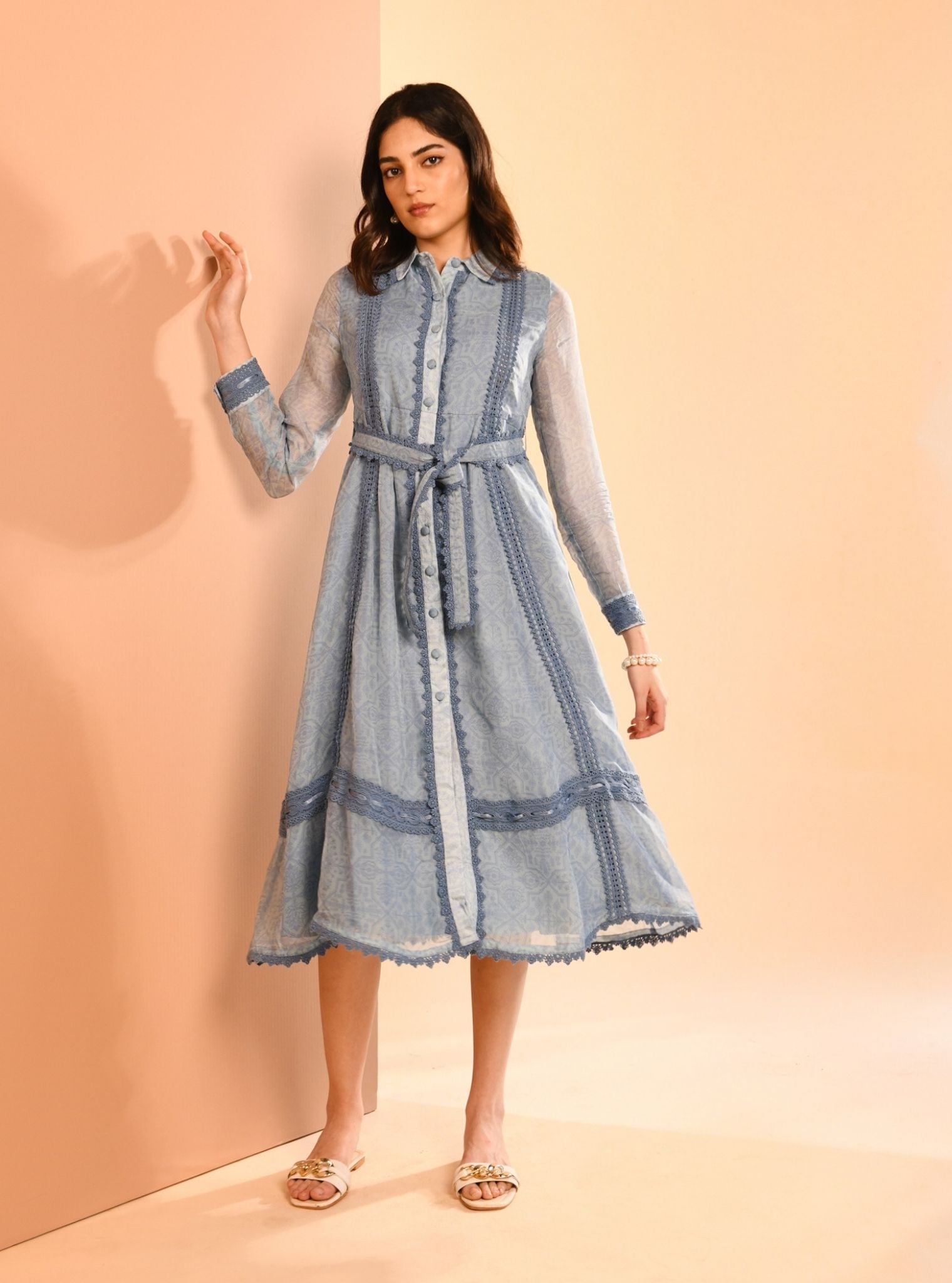 Liz Organza Printed Blue Long Dress